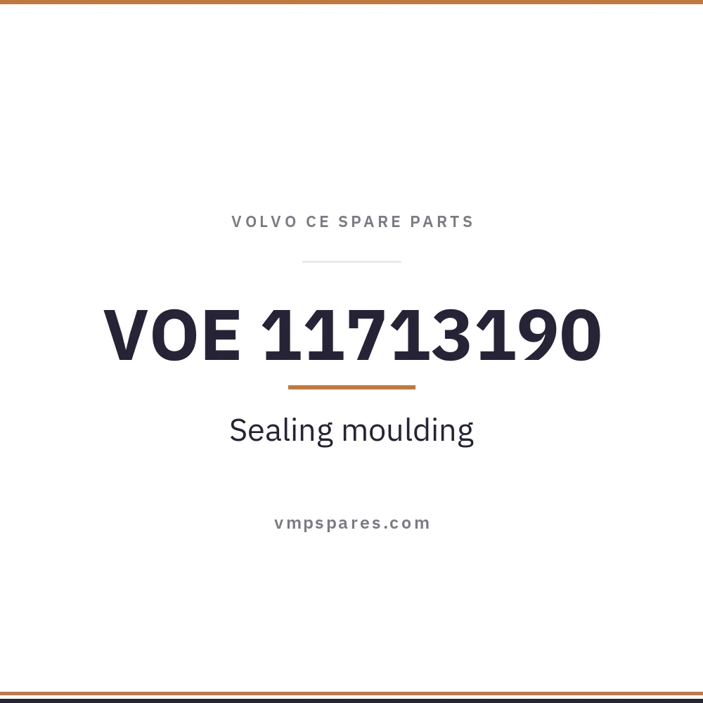 VOE 11713190 – Sealing moulding