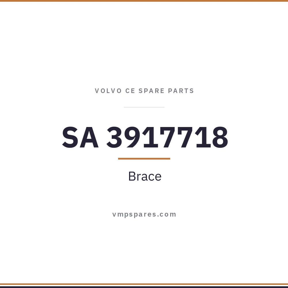 SA 3917718 – Brace
