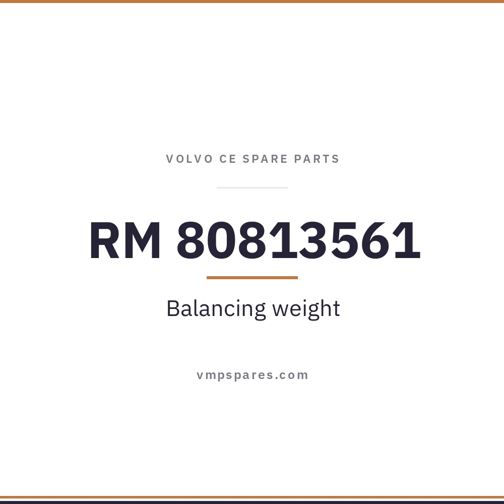 RM 80813561 – Balancing weight