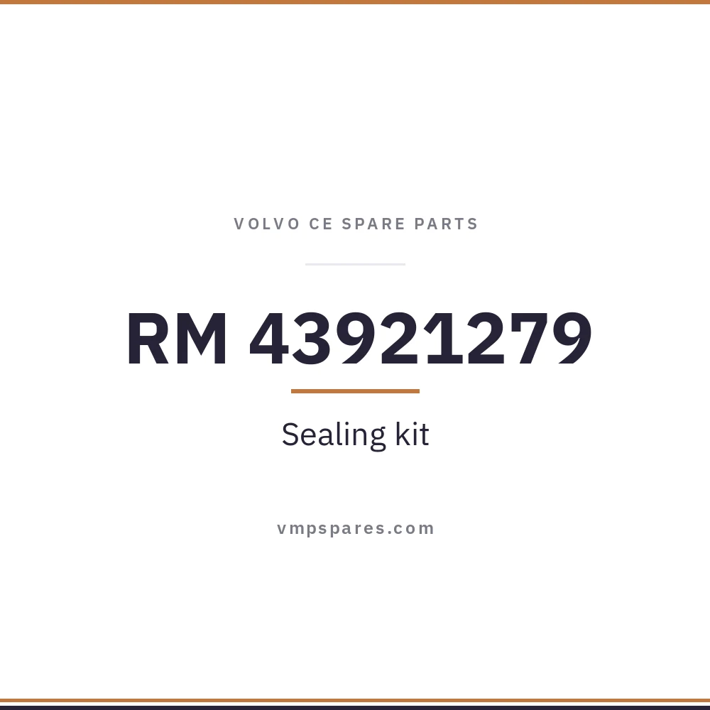 RM 43921279 – Sealing kit