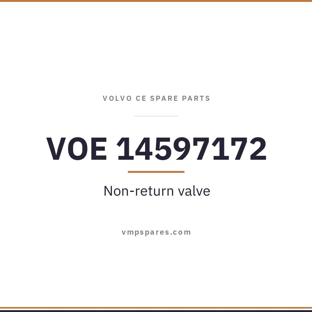 VOE 14597172 – Non-return valve
