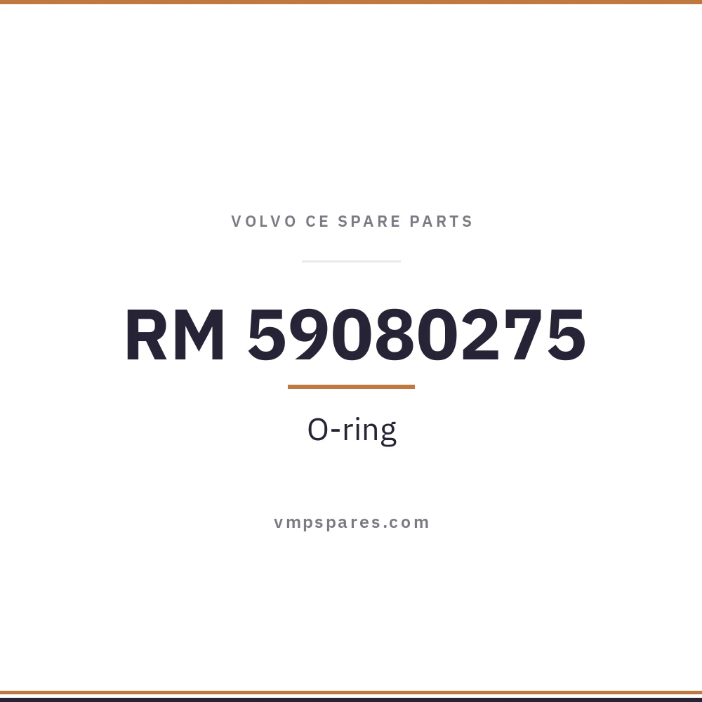 RM 59080275 – O-ring
