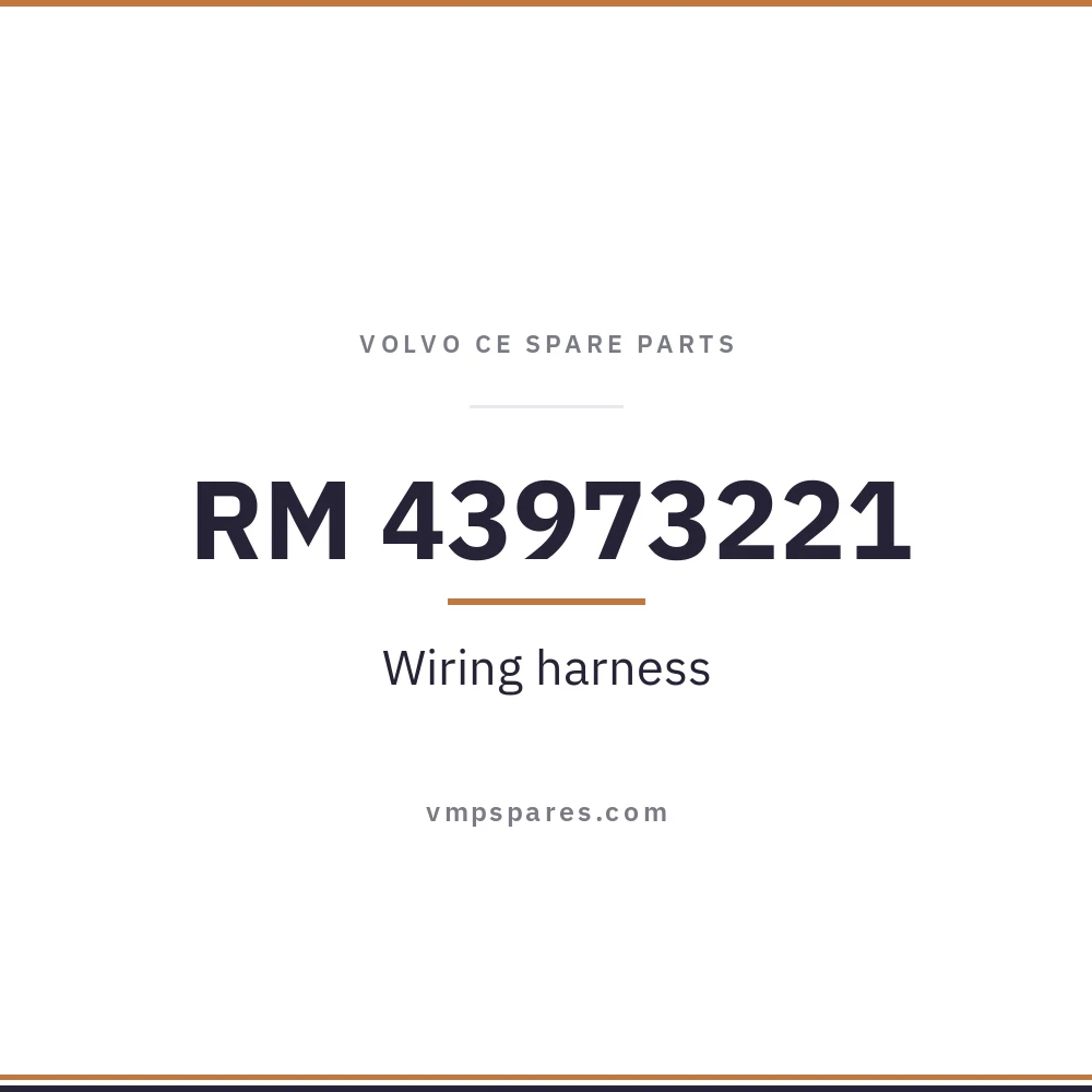 RM 43973221 – Wiring harness