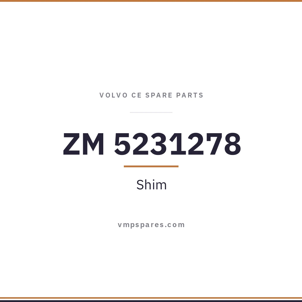 ZM 5231278 – Shim