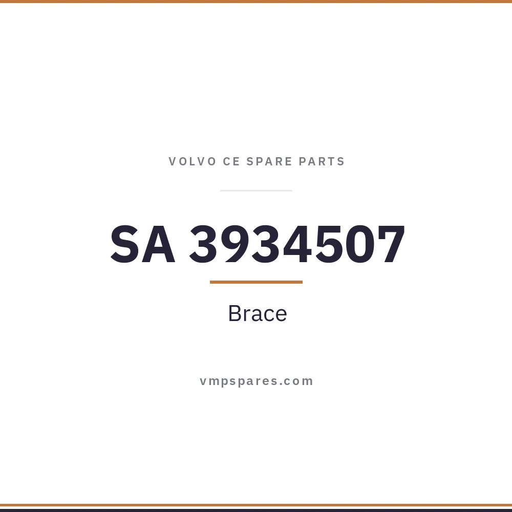 SA 3934507 – Brace