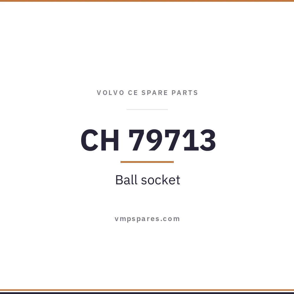 CH 79713 – Ball socket