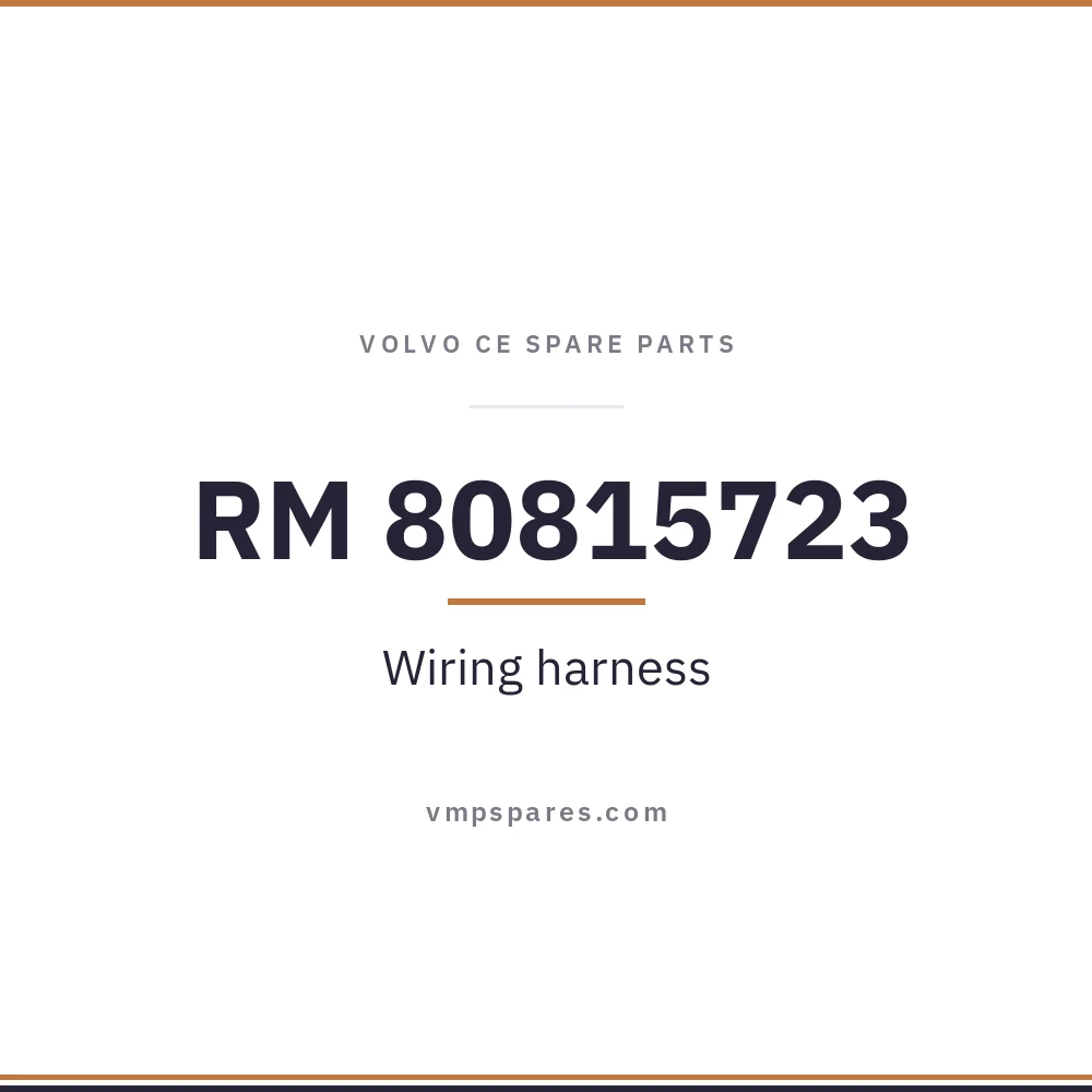 RM 80815723 – Wiring harness