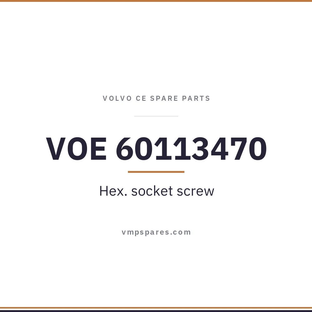 VOE 60113470 – Hex. socket screw