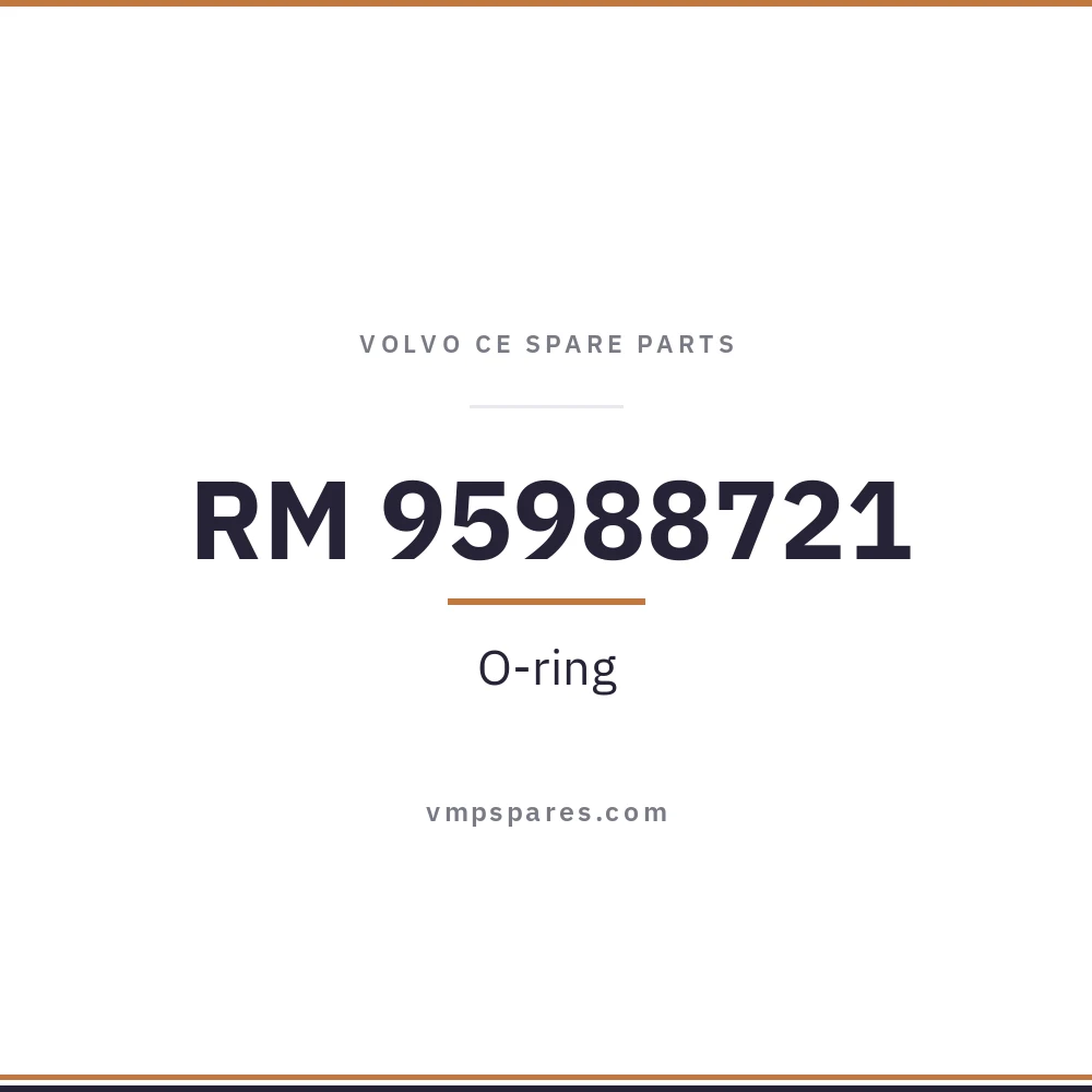 RM 95988721 – O-ring