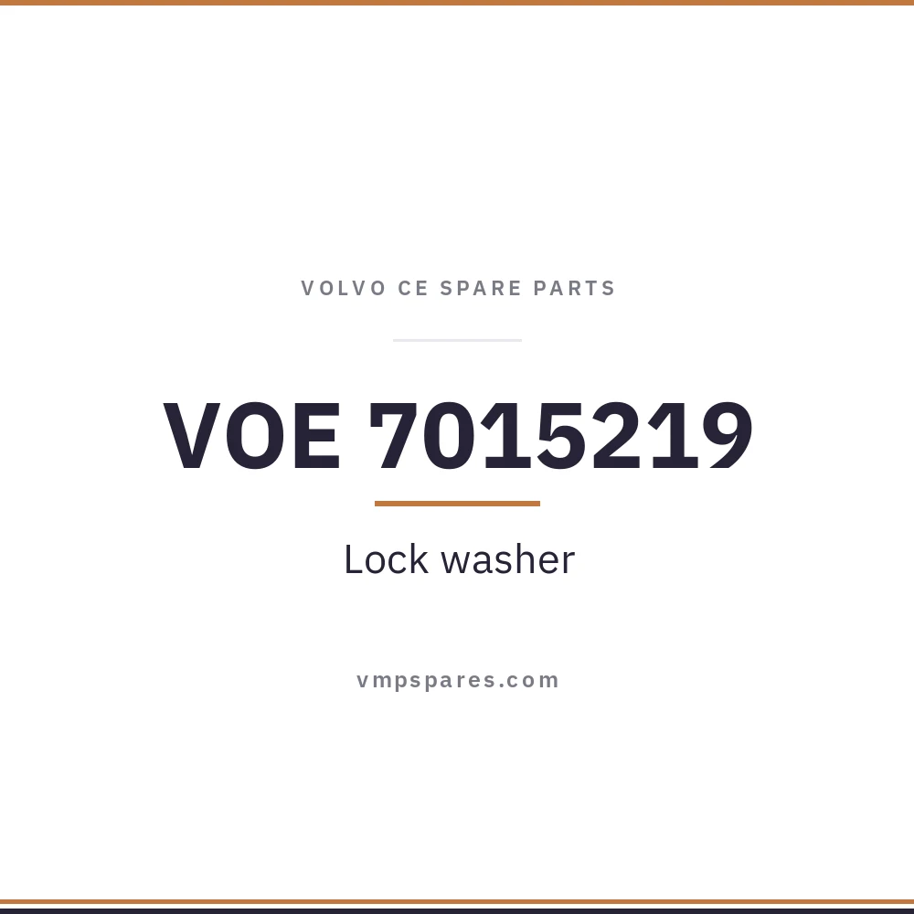 VOE 7015219 – Lock washer