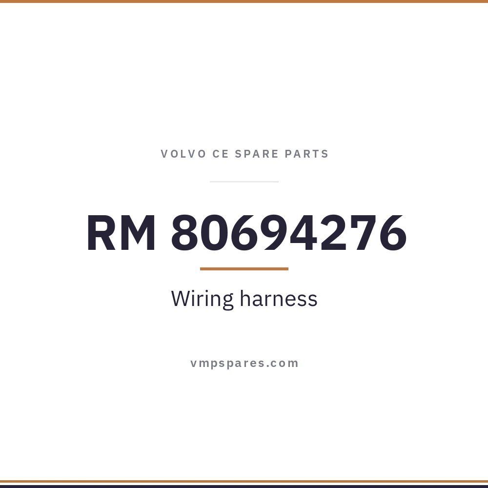 RM 80694276 – Wiring harness