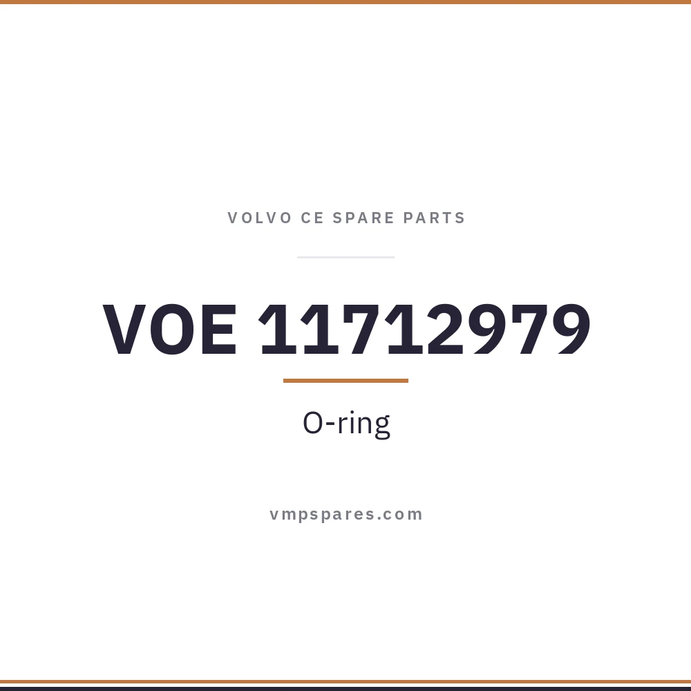 VOE 11712979 – O-ring