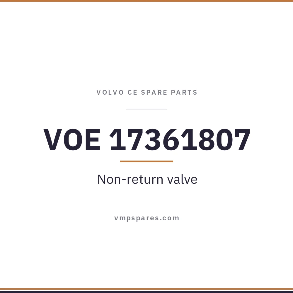 VOE 17361807 – Non-return valve