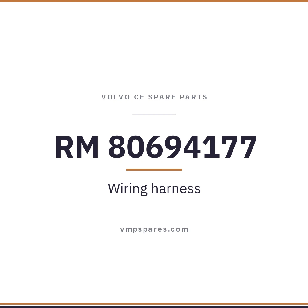 RM 80694177 – Wiring harness