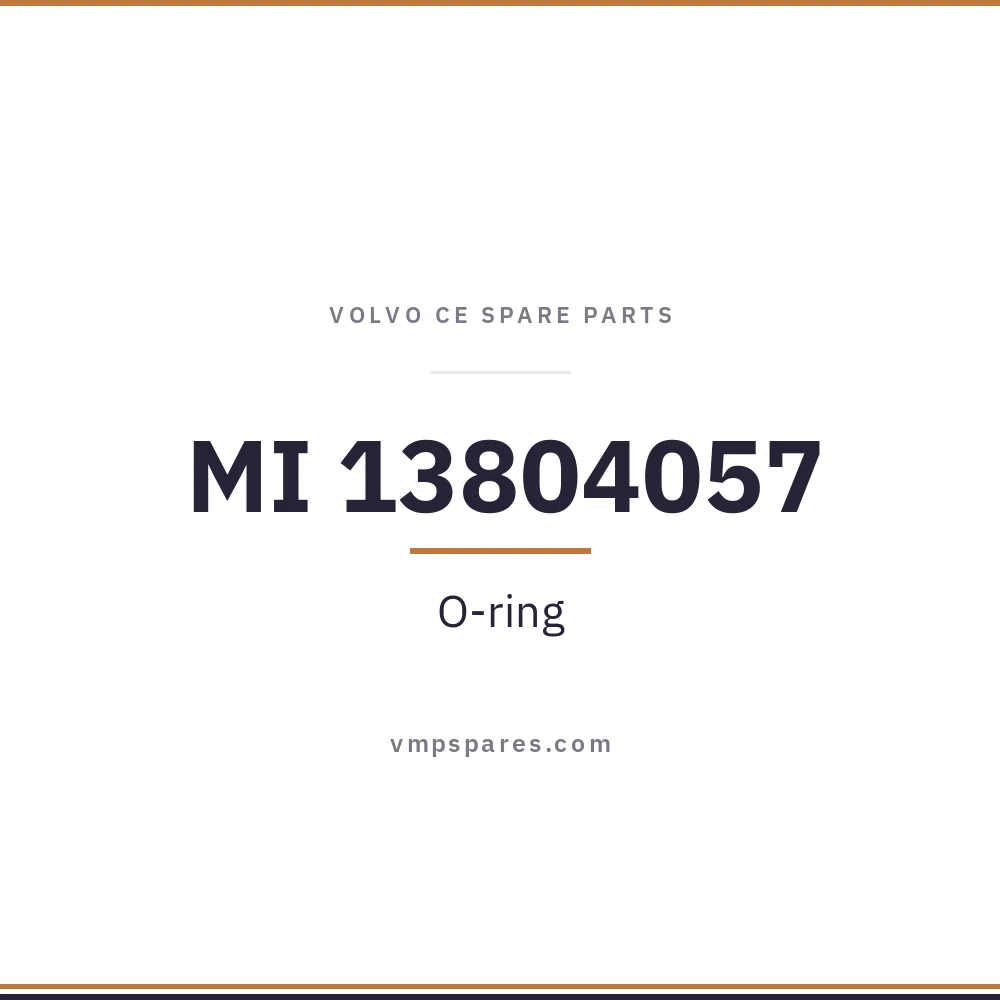 MI 13804057 – O-ring