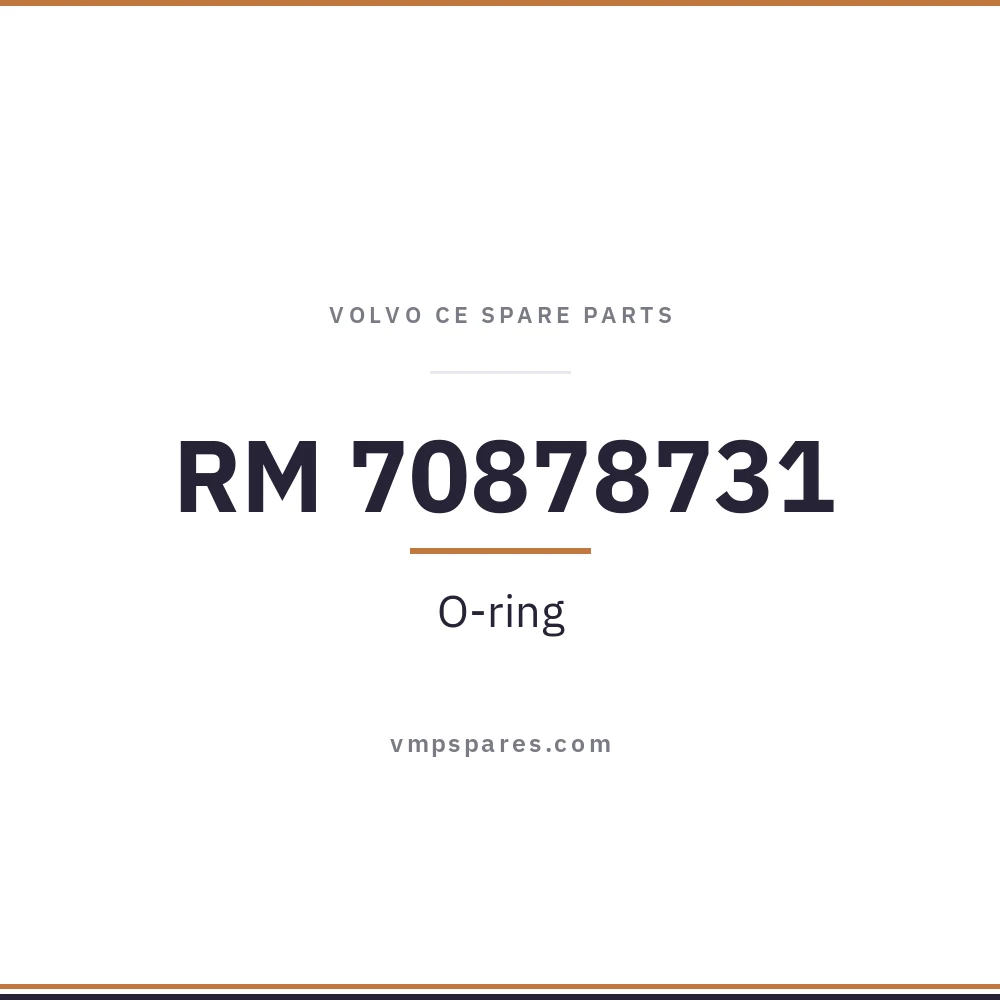 RM 70878731 – O-ring