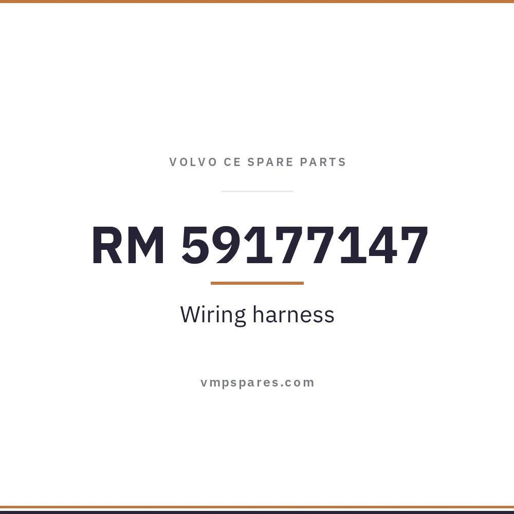 RM 59177147 – Wiring harness
