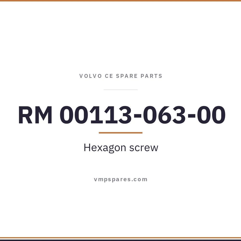 RM 00113-063-00 – Hexagon screw