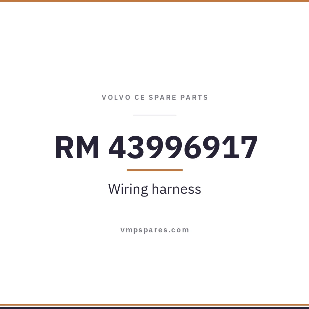 RM 43996917 – Wiring harness