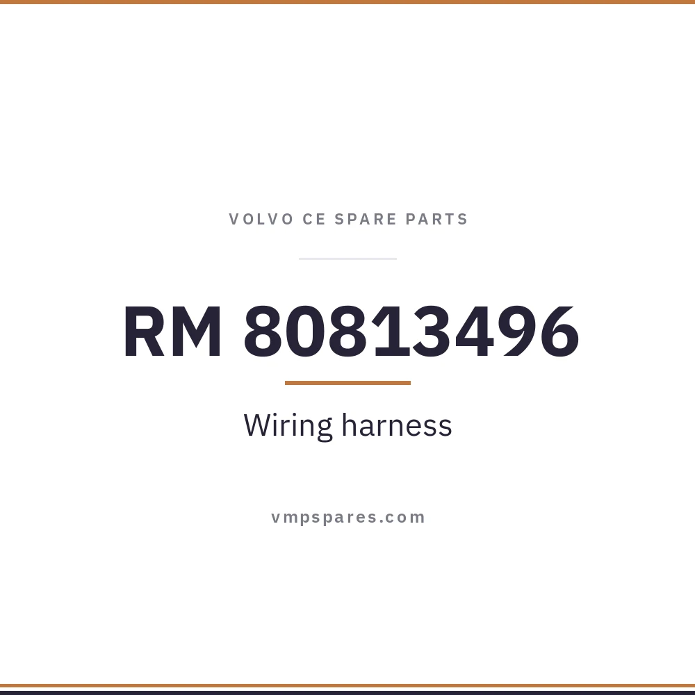 RM 80813496 – Wiring harness
