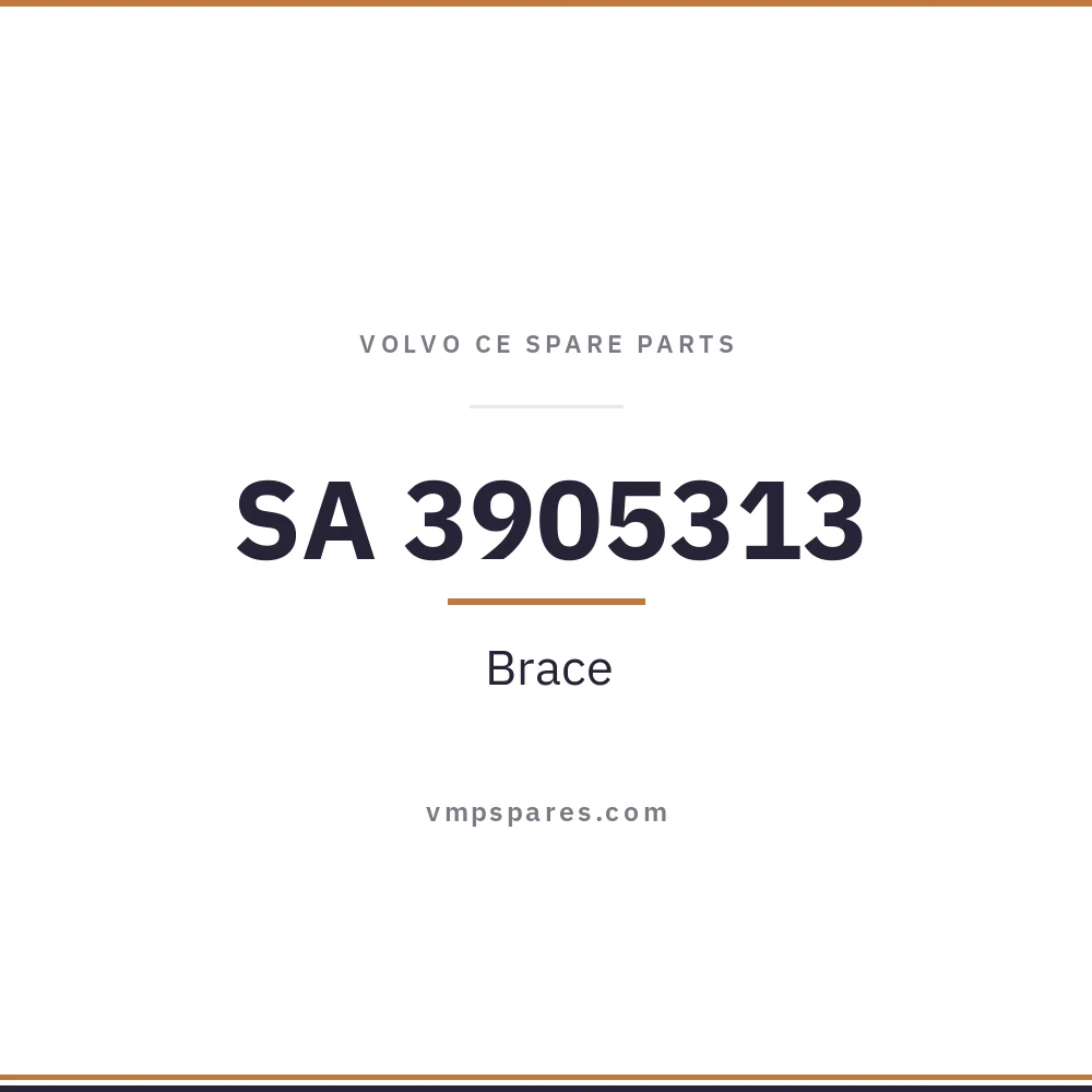 SA 3905313 – Brace