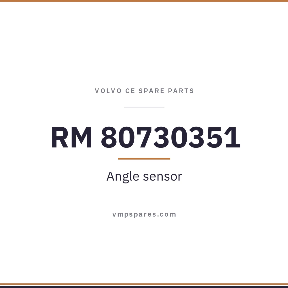 RM 80730351 – Angle sensor
