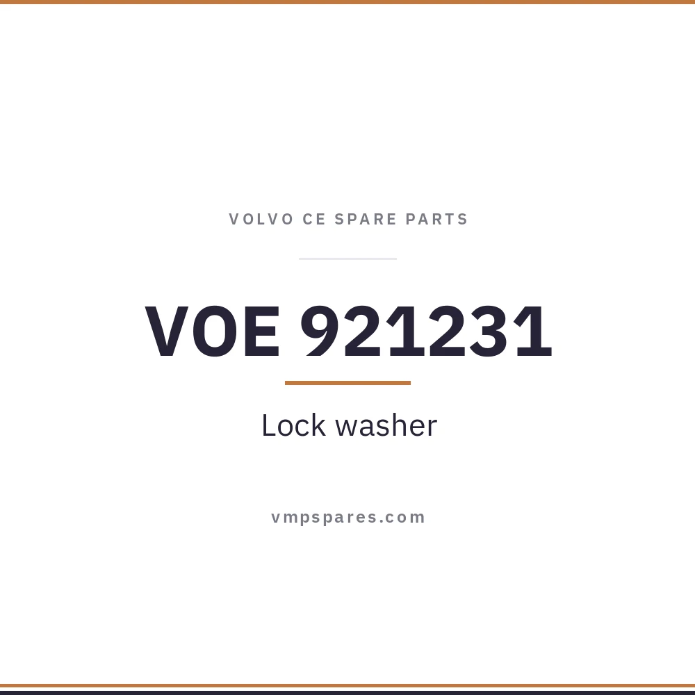 VOE 921231 – Lock washer