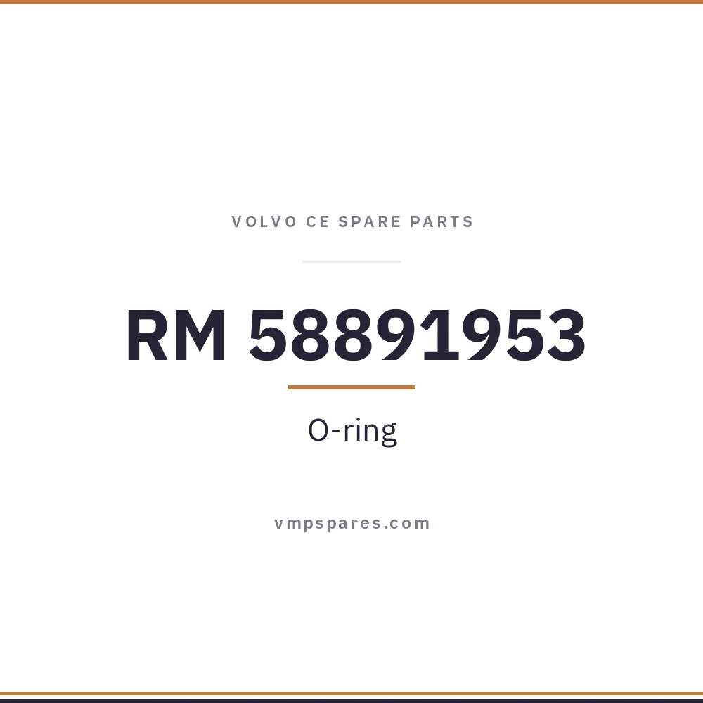 RM 58891953 – O-ring
