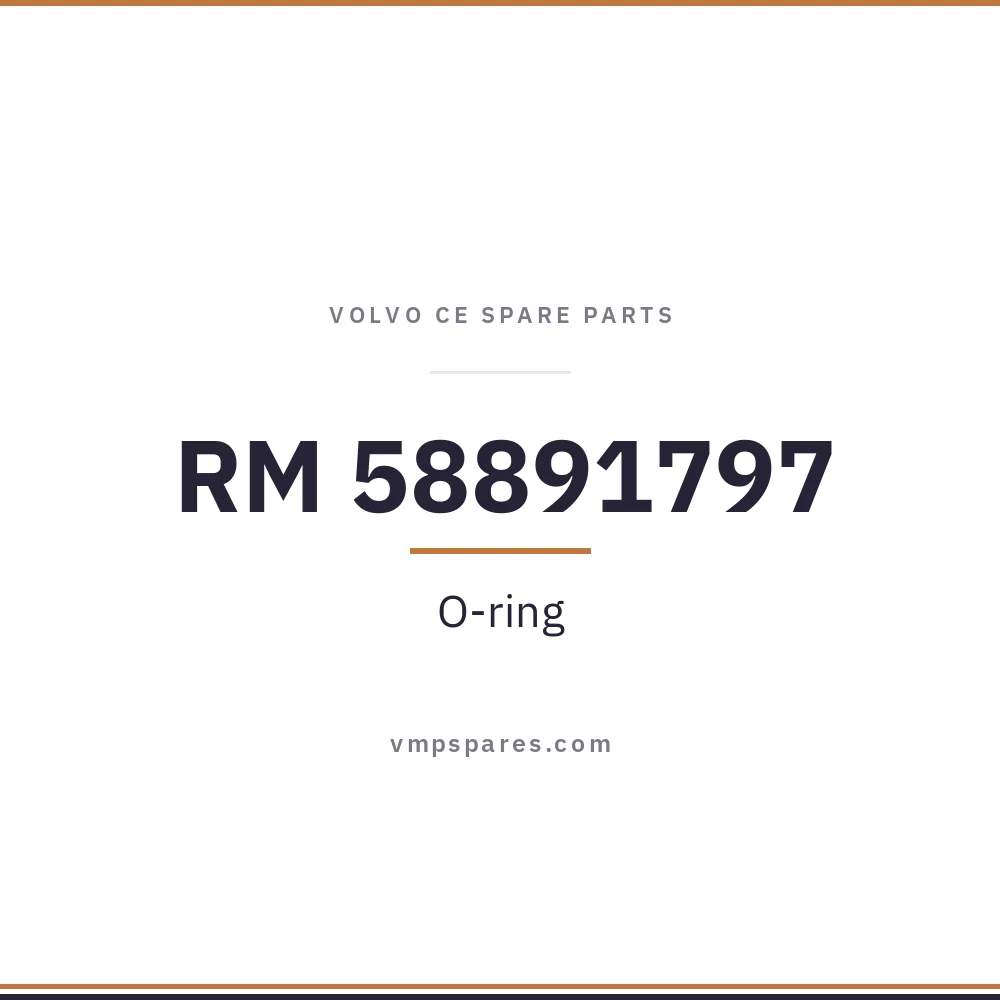 RM 58891797 – O-ring