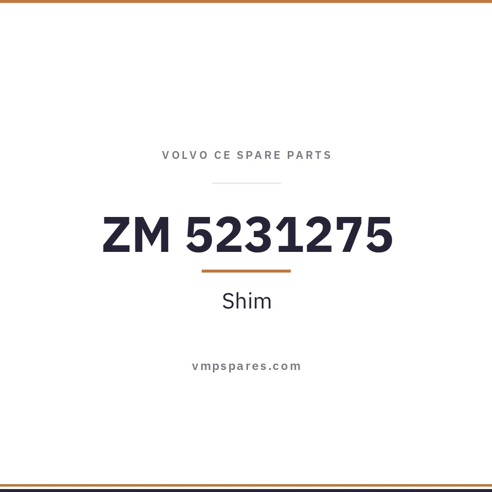 ZM 5231275 – Shim