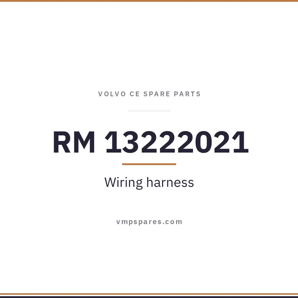 RM 13222021 – Wiring harness