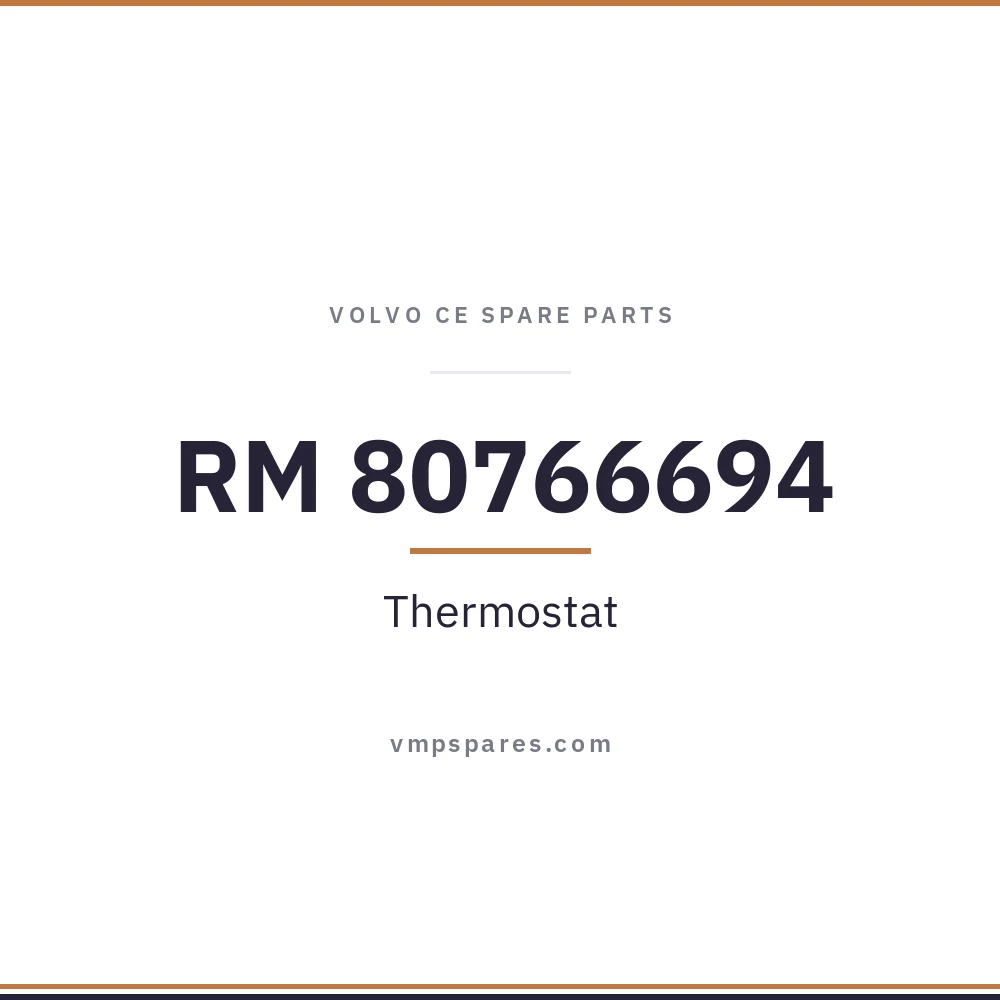 RM 80766694 – Thermostat