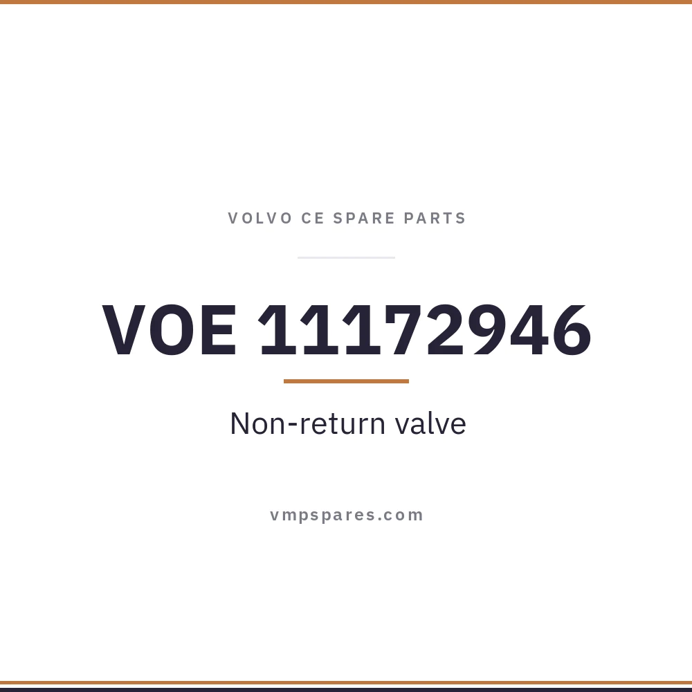 VOE 11172946 – Non-return valve
