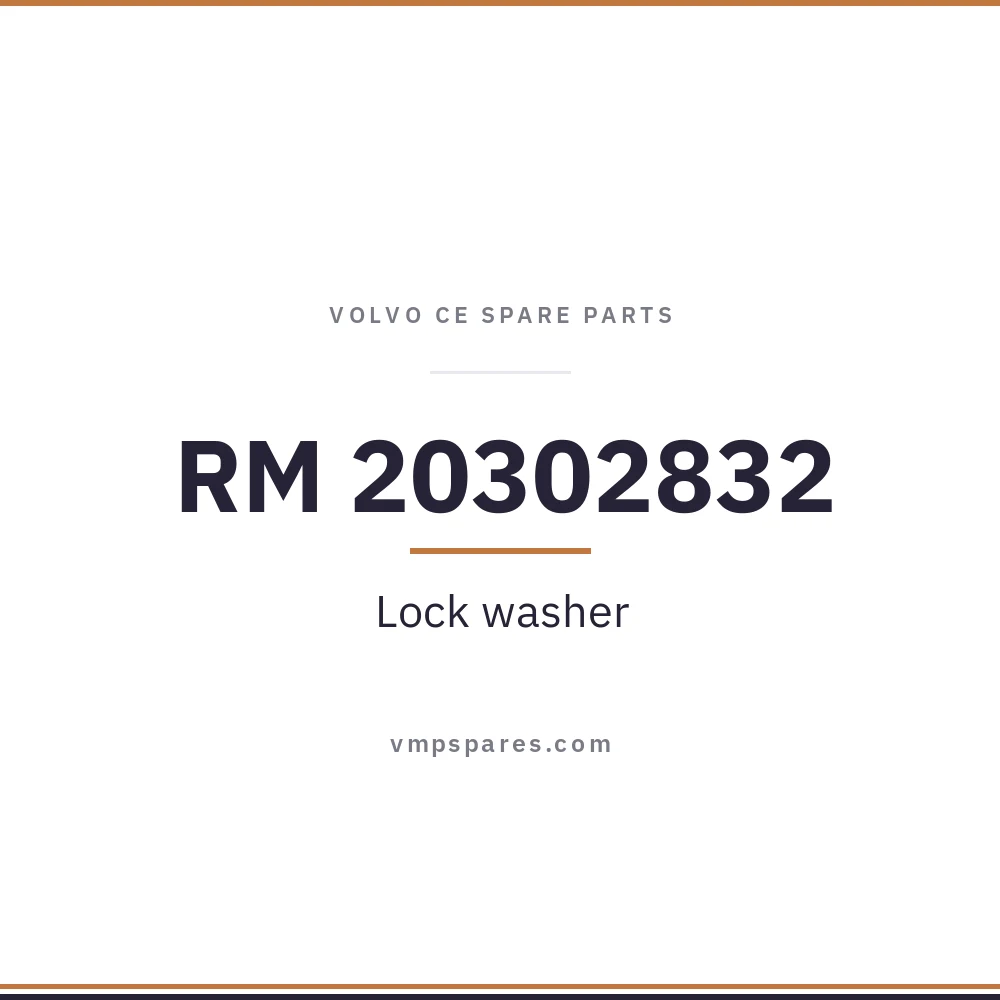 RM 20302832 – Lock washer