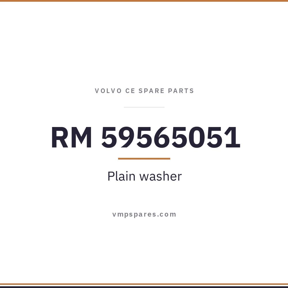 RM 59565051 – Plain washer