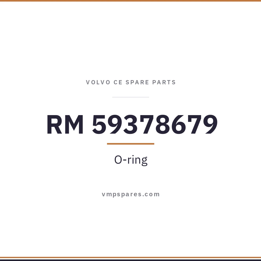 RM 59378679 – O-ring