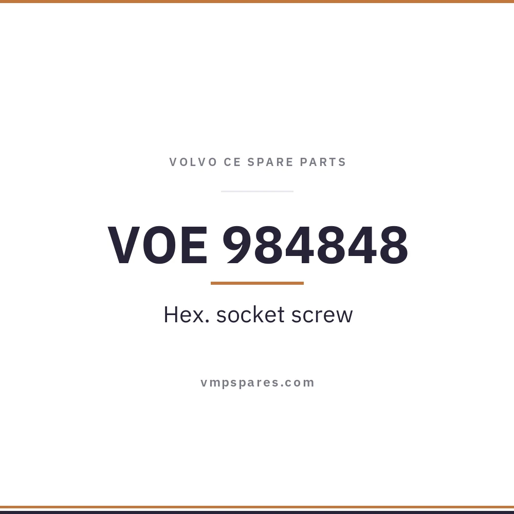 VOE 984848 – Hex. socket screw