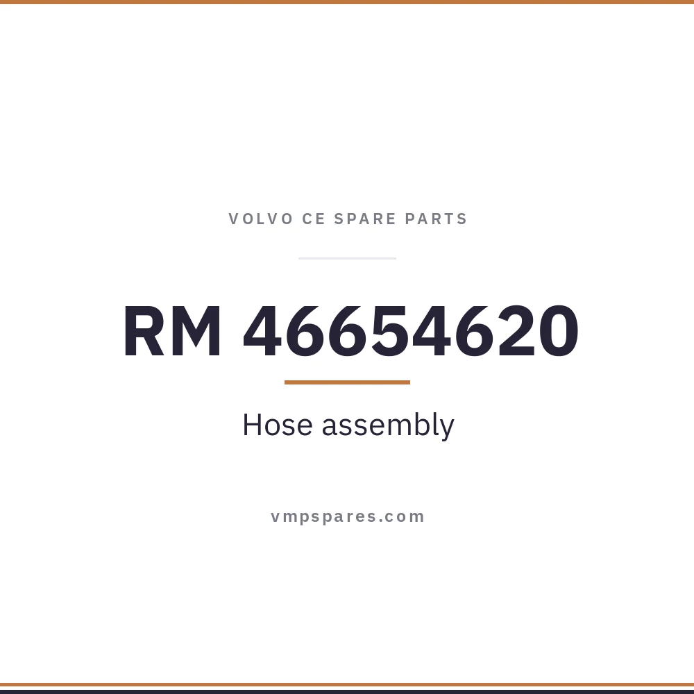 RM 46654620 – Hose assembly