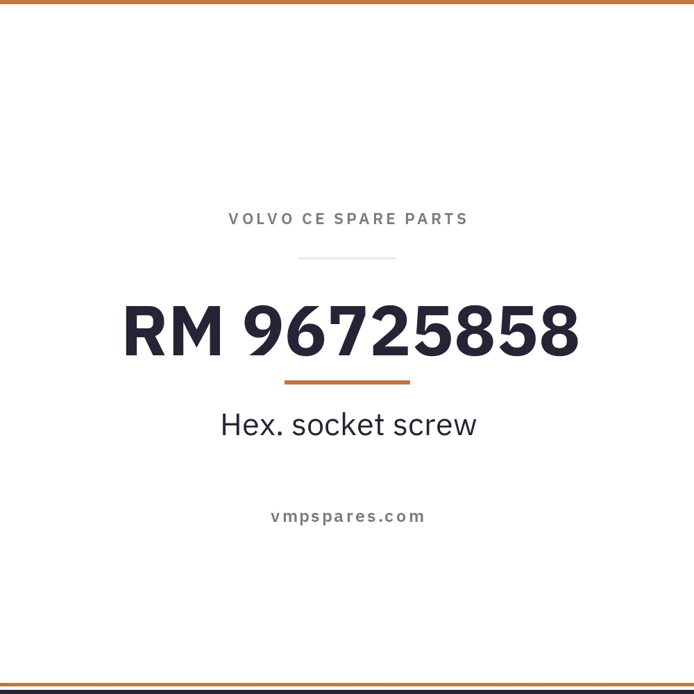 RM 96725858 – Hex. socket screw