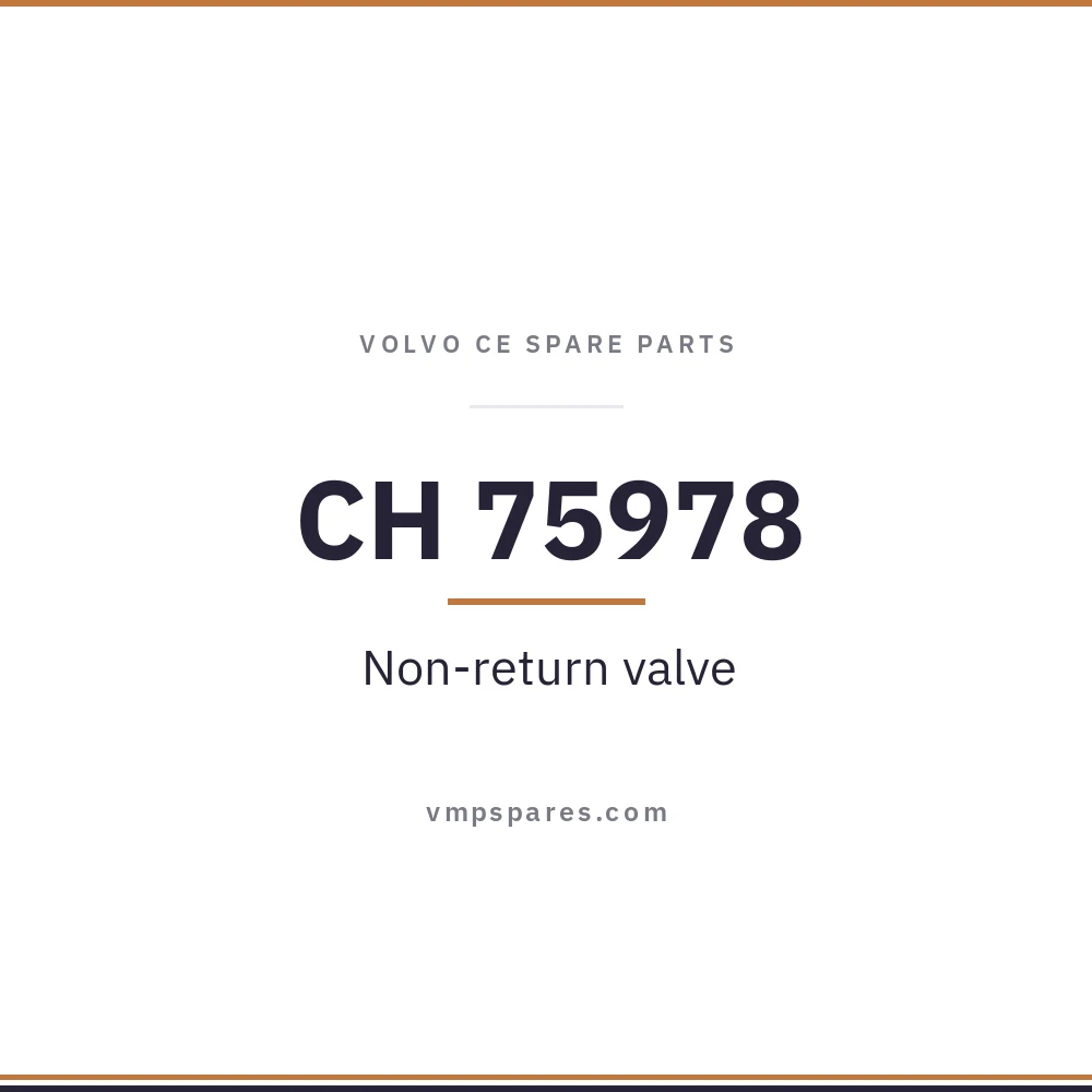 CH 75978 – Non-return valve