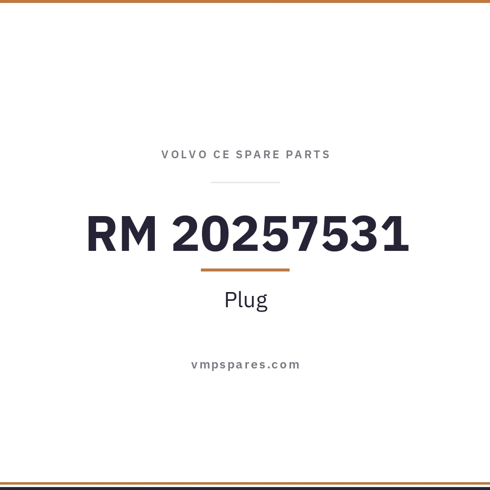 RM 20257531 – Plug