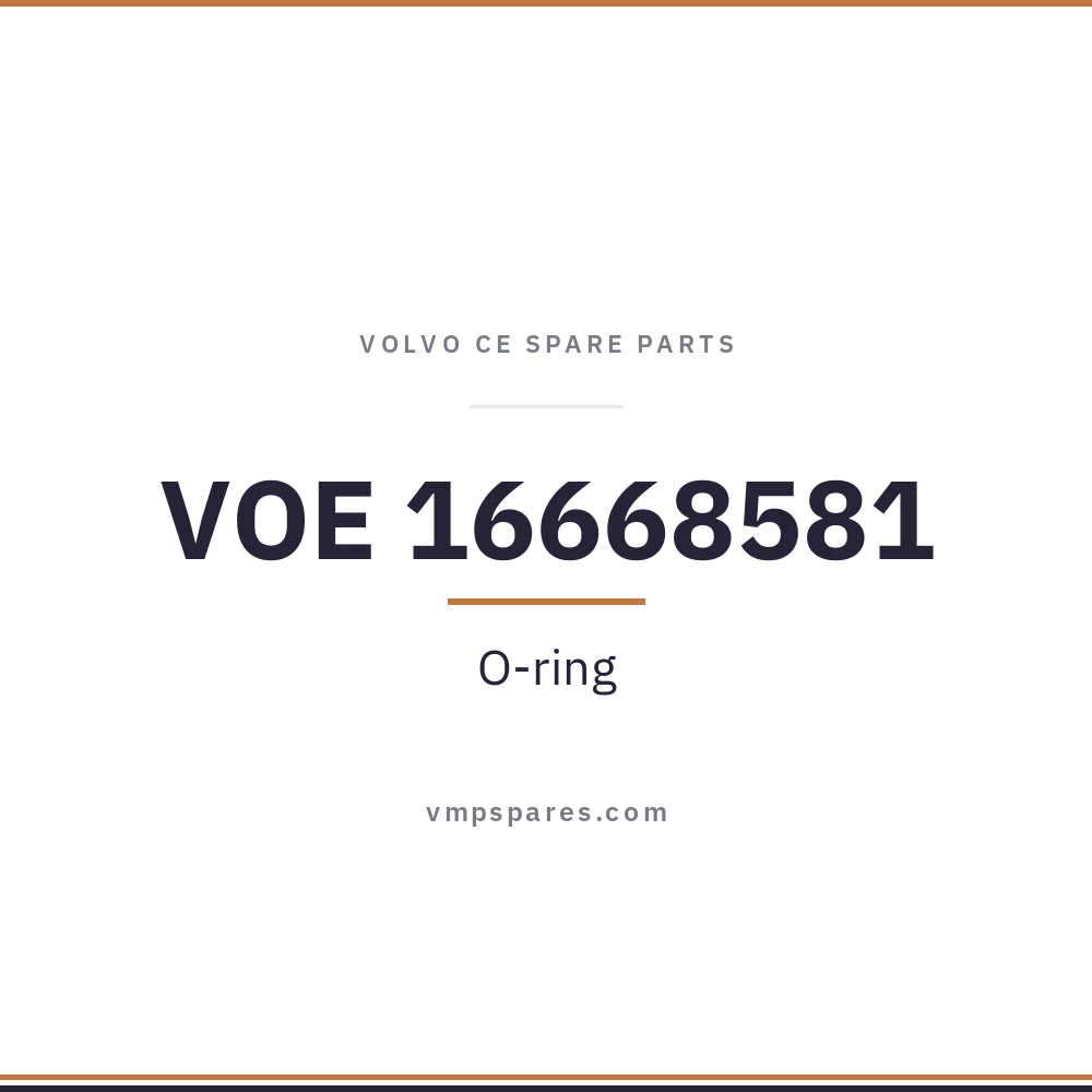 VOE 16668581 – O-ring