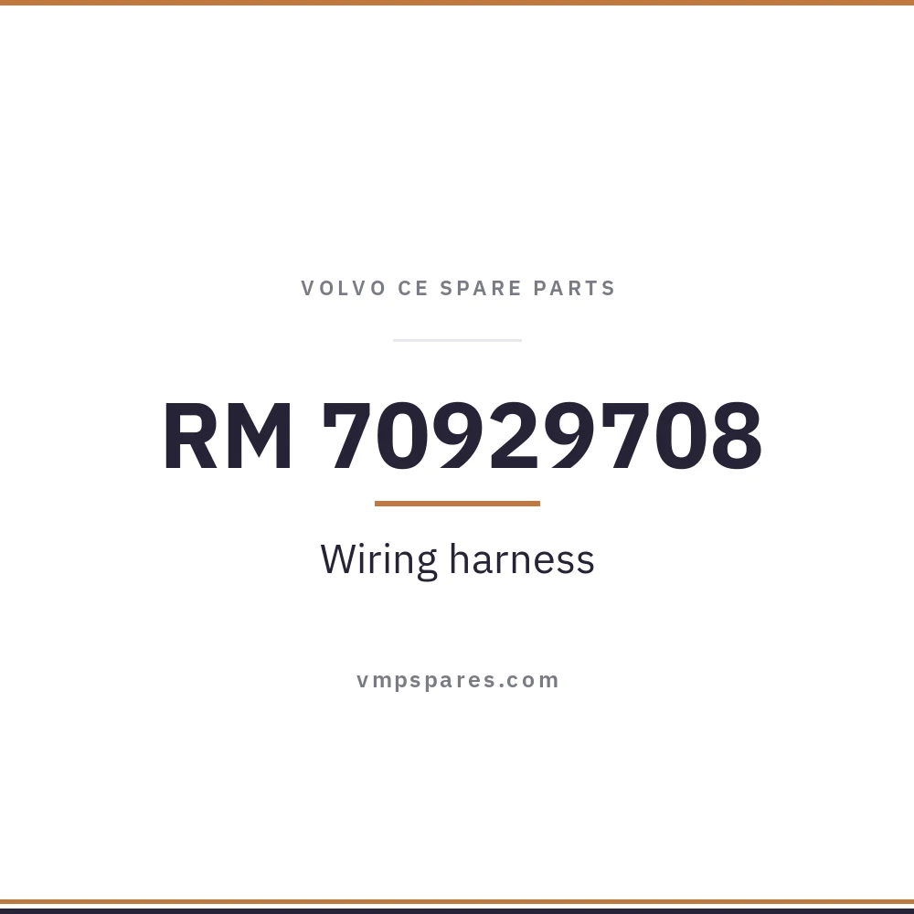 RM 70929708 – Wiring harness