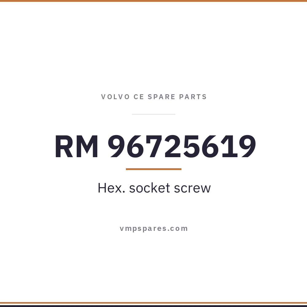 RM 96725619 – Hex. socket screw