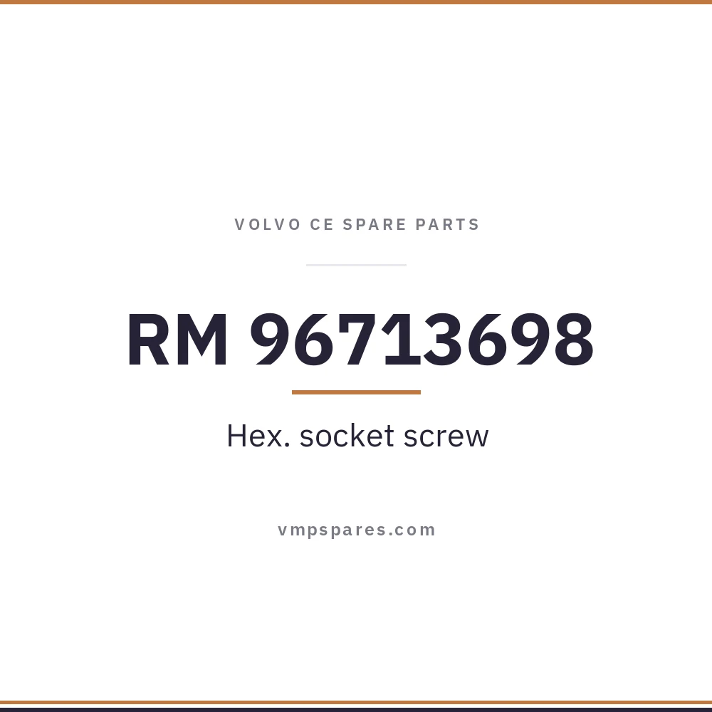 RM 96713698 – Hex. socket screw