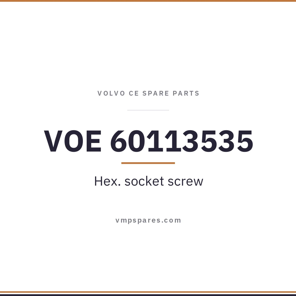 VOE 60113535 – Hex. socket screw