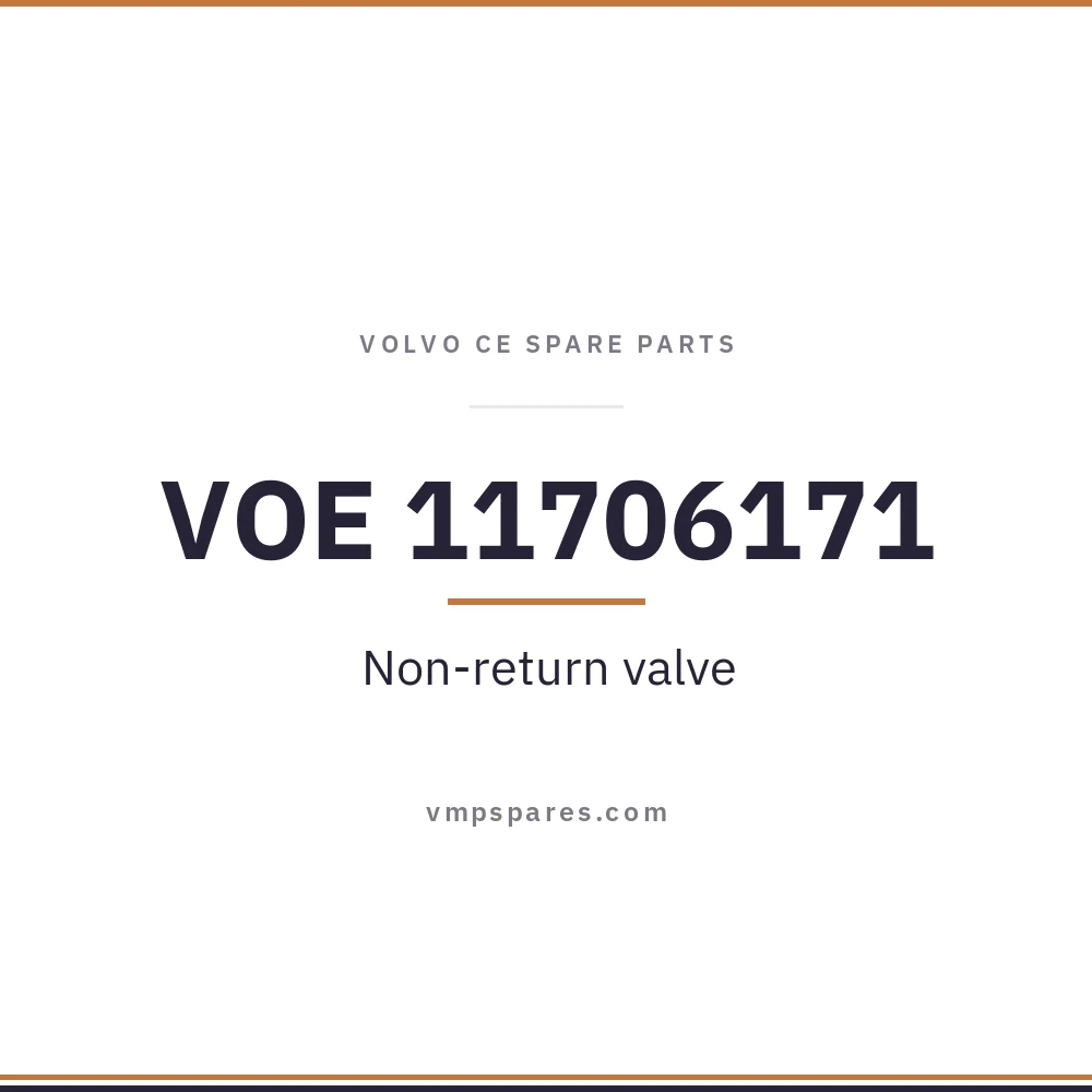 VOE 11706171 – Non-return valve