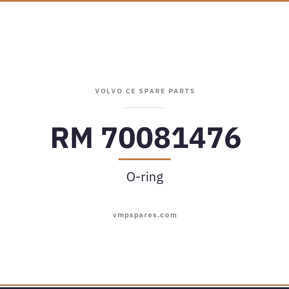 RM 70081476 – O-ring