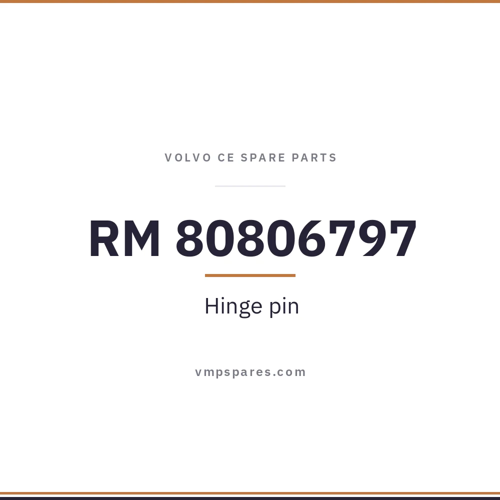 RM 80806797 – Hinge pin