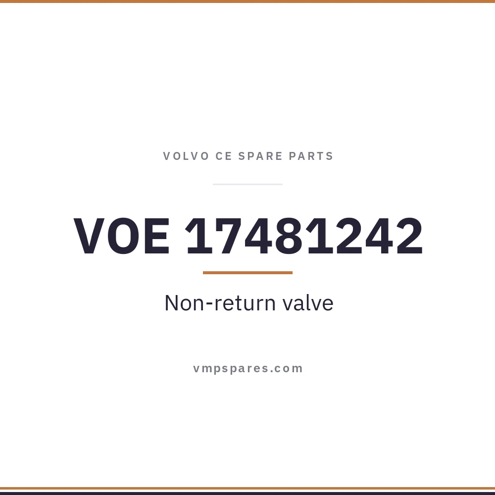 VOE 17481242 – Non-return valve